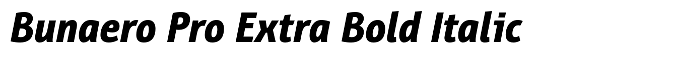 Bunaero Pro Extra Bold Italic image